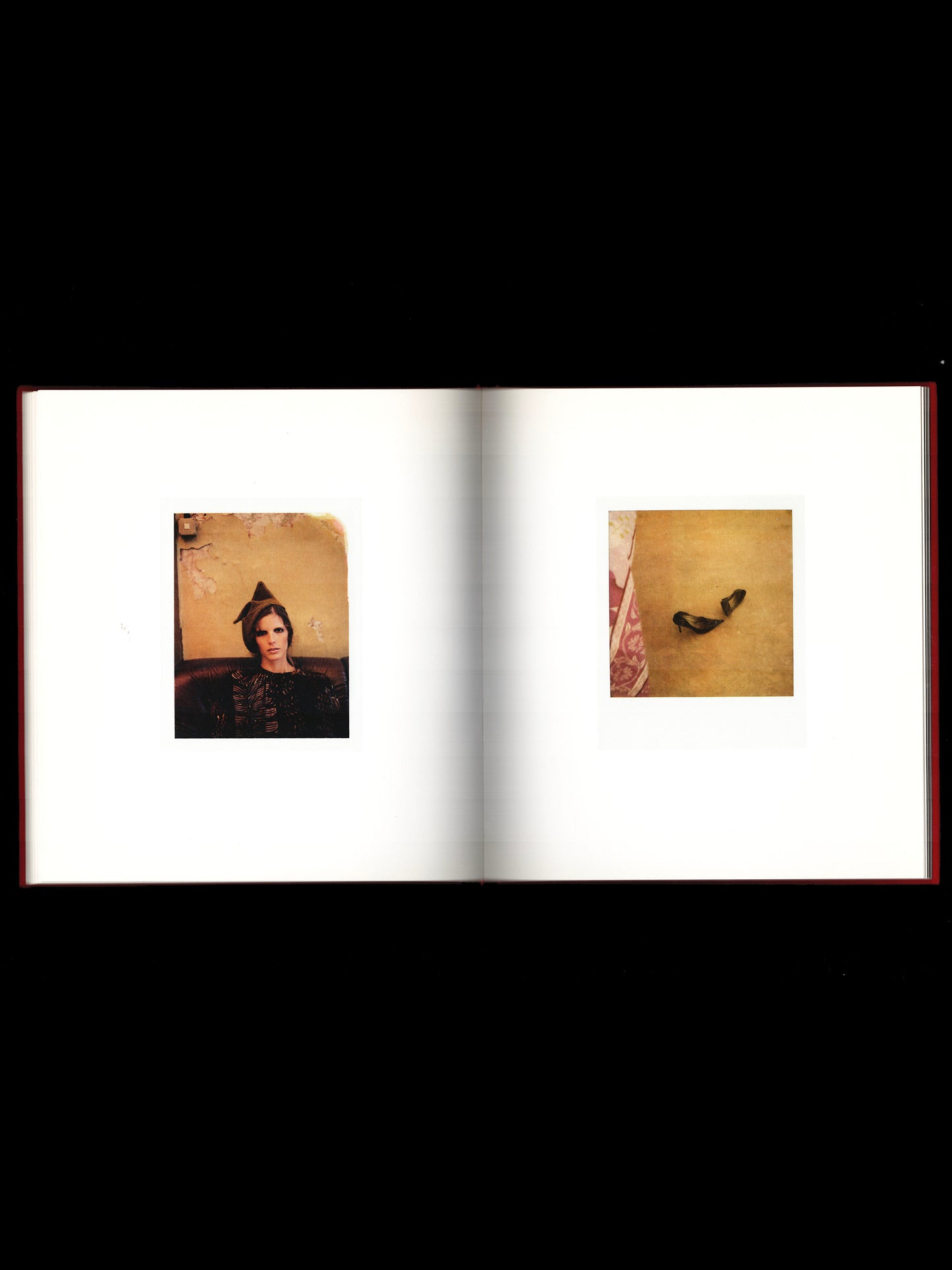 THE POLAROIDS (2011)