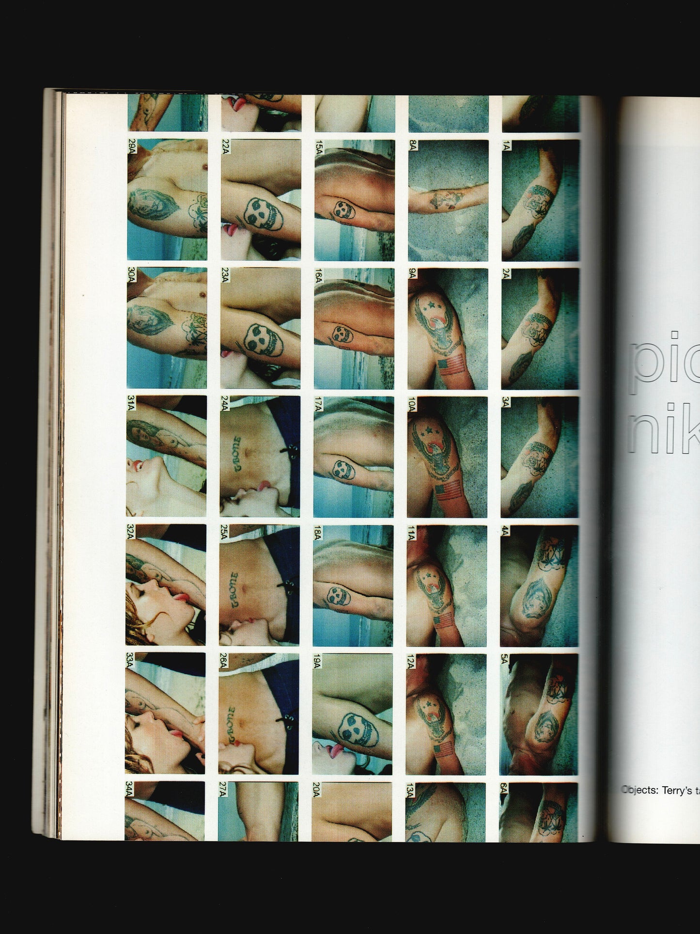 SISLEY: OUT OF THE ORDINARY ISSUE (2003)