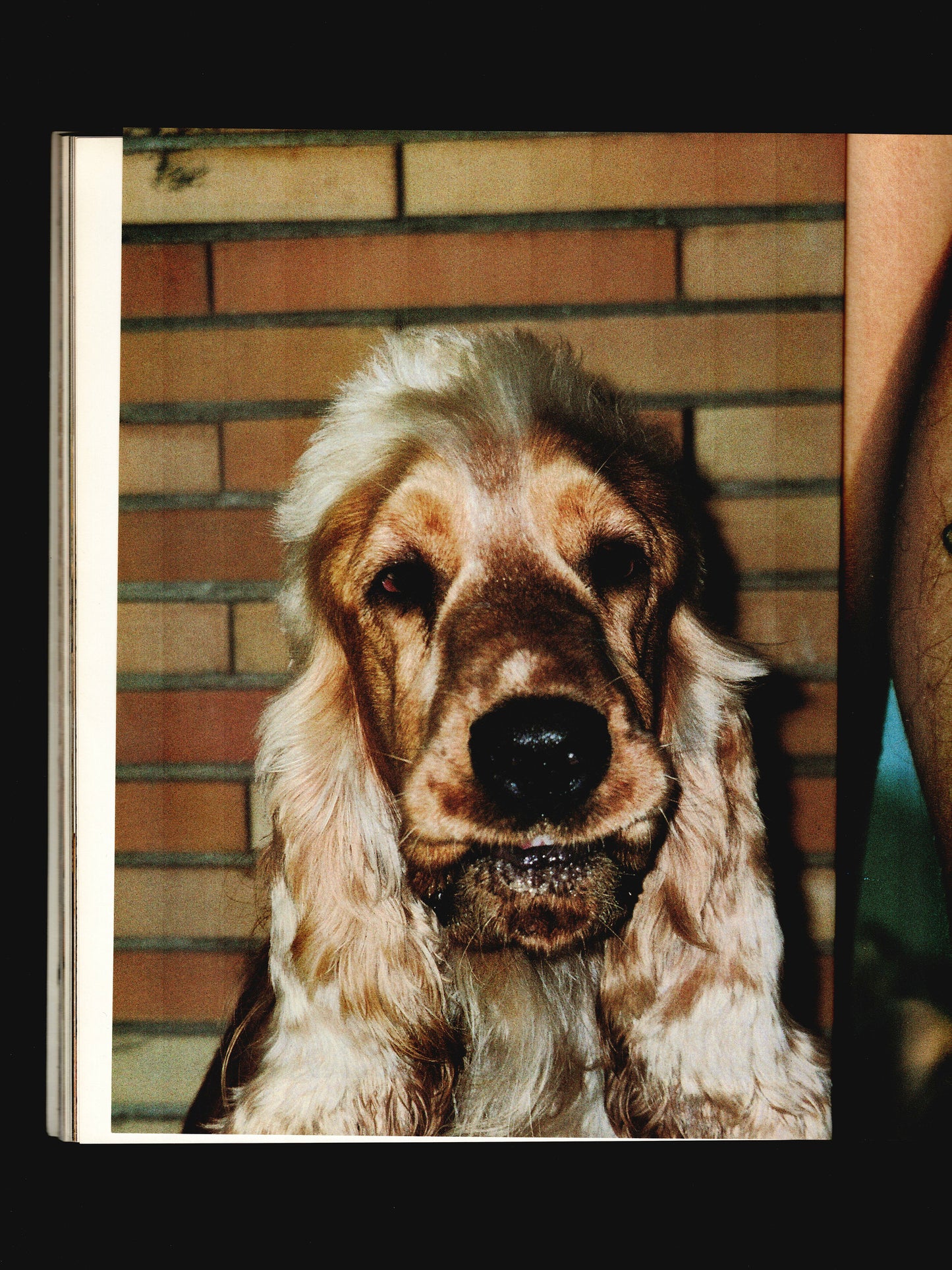 SISLEY: OUT OF THE ORDINARY ISSUE (2003)