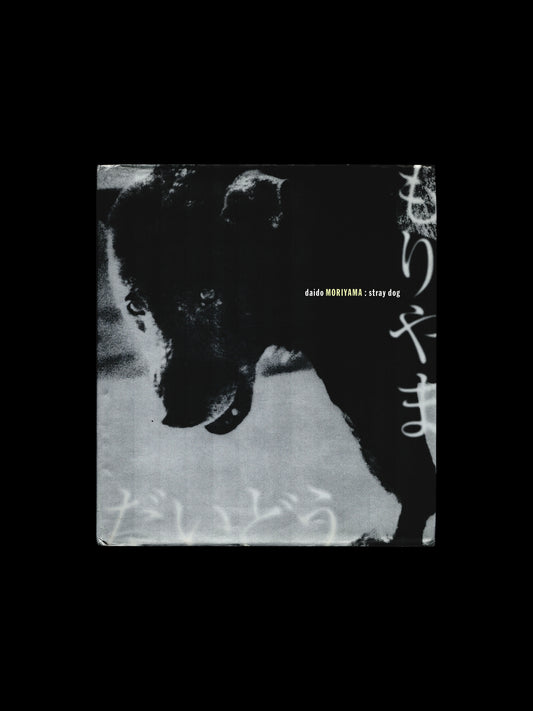 STRAY DOG (1999)