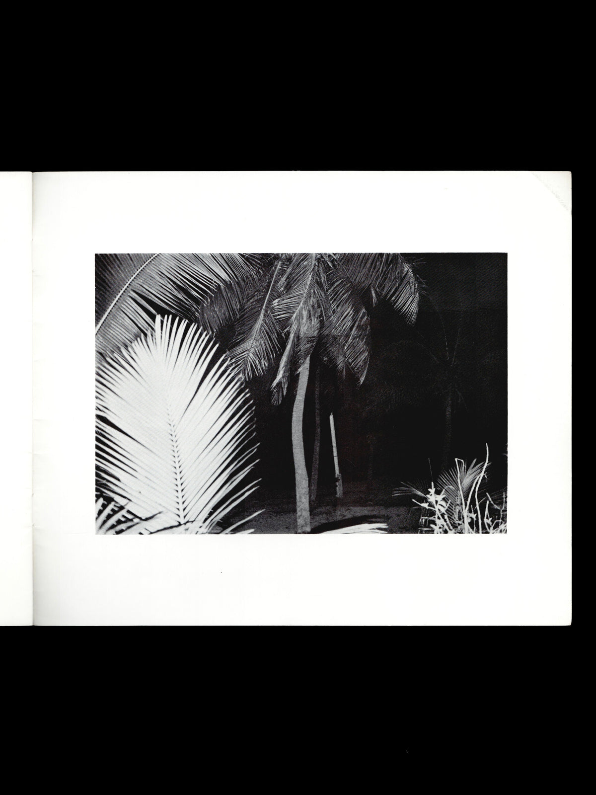 TAHITIAN EVE (1975)