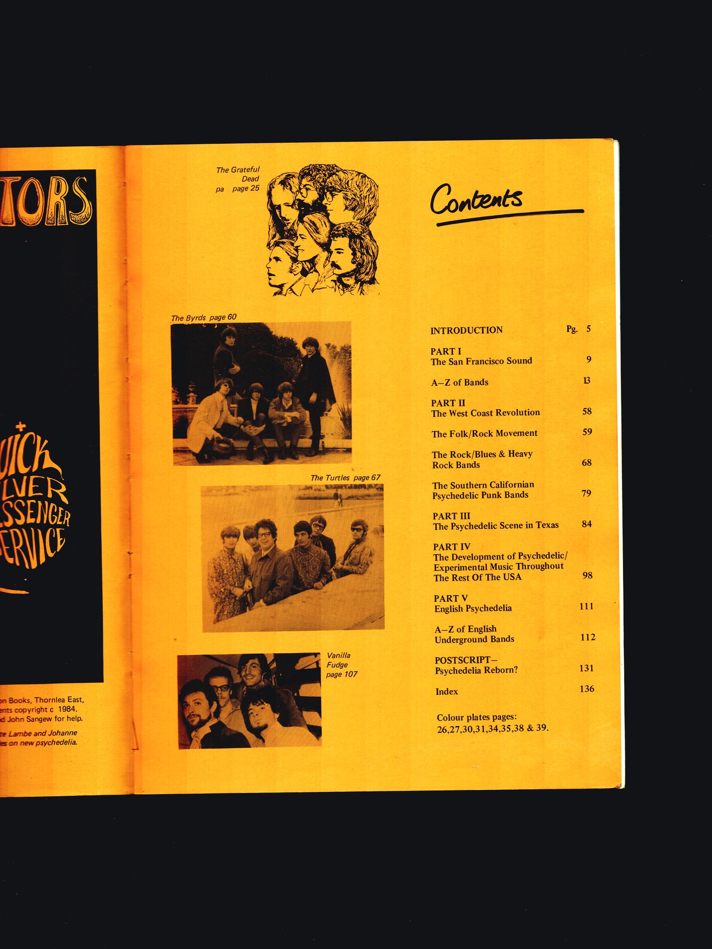 THE ACID TRIP: A COMPLETE GUIDE TO PSYCHEDELIC MUSIC (1984)