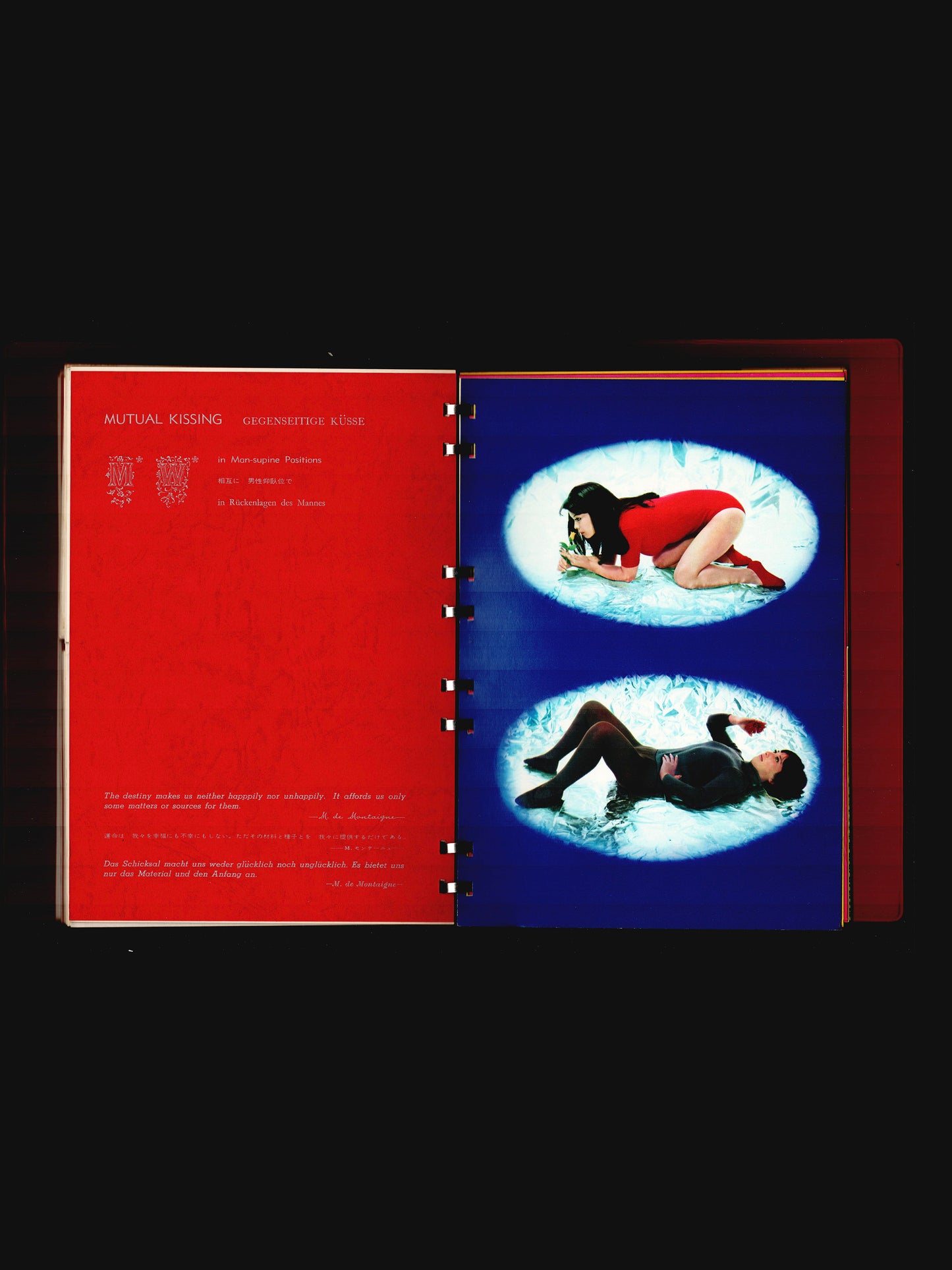 THE LOVE IN SEX LIFE (1968)