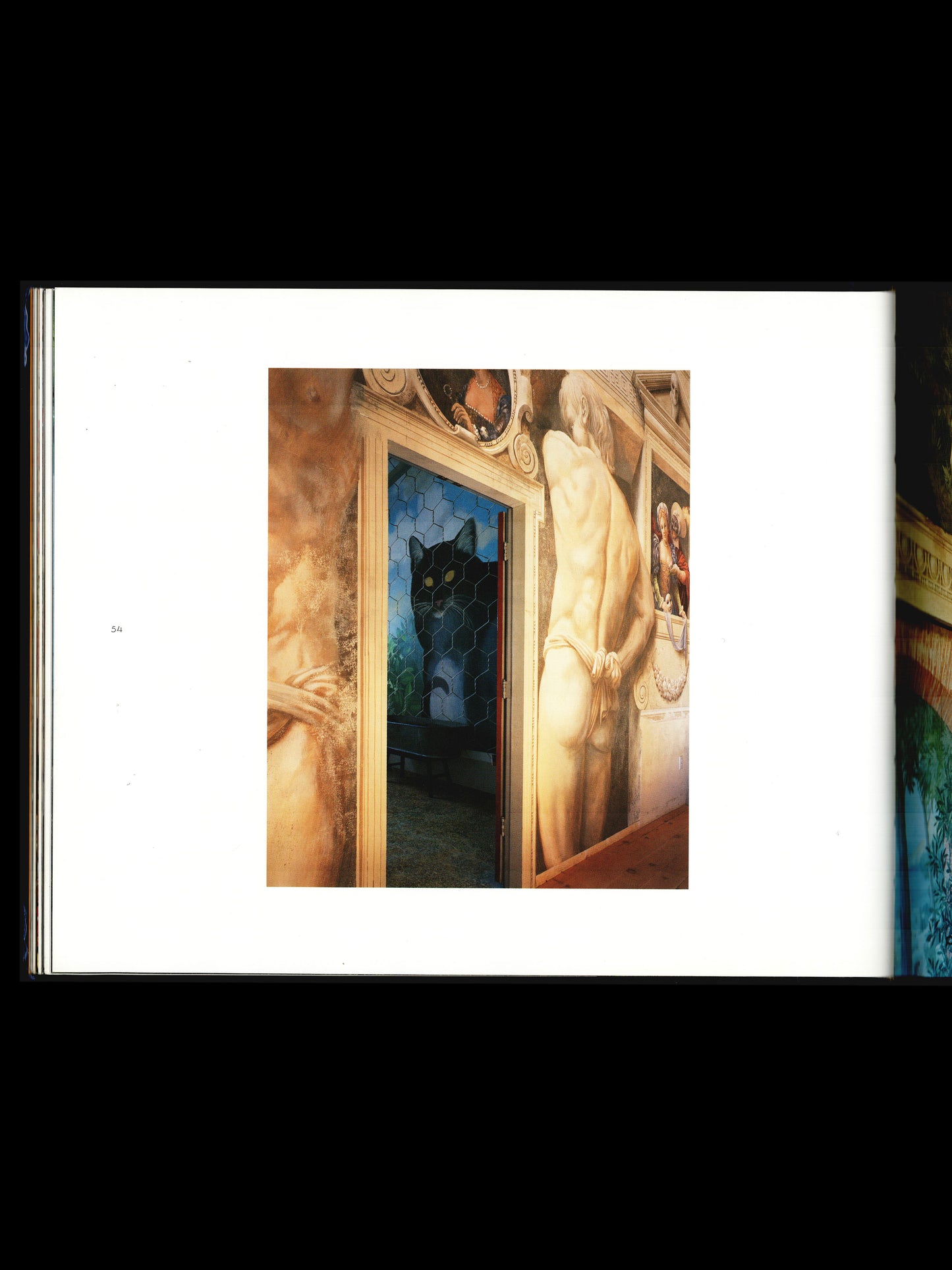 WEIRD ROOMS (1996)