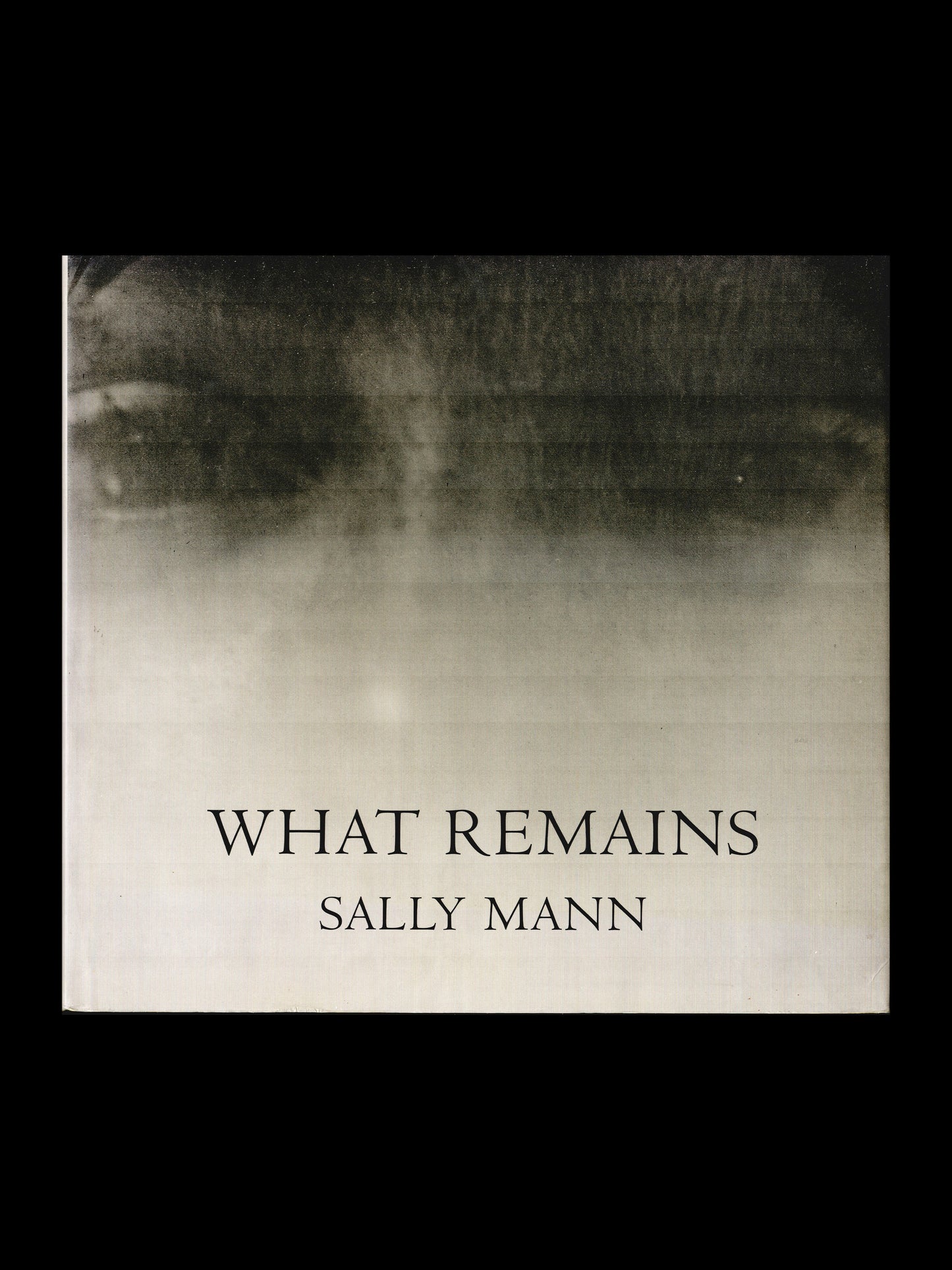 WHAT REMAINS (2003)