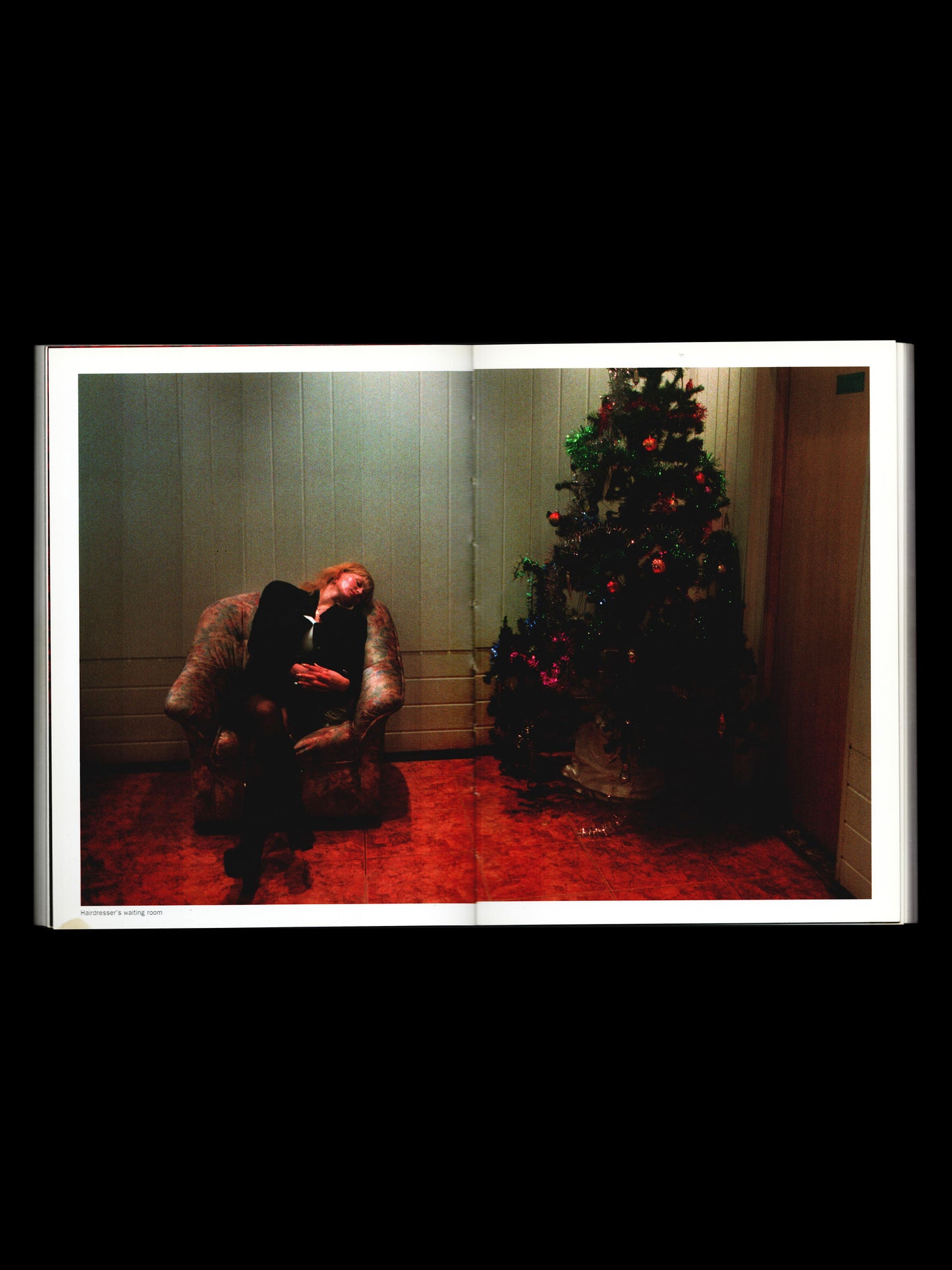 WINTERREISE (2003)
