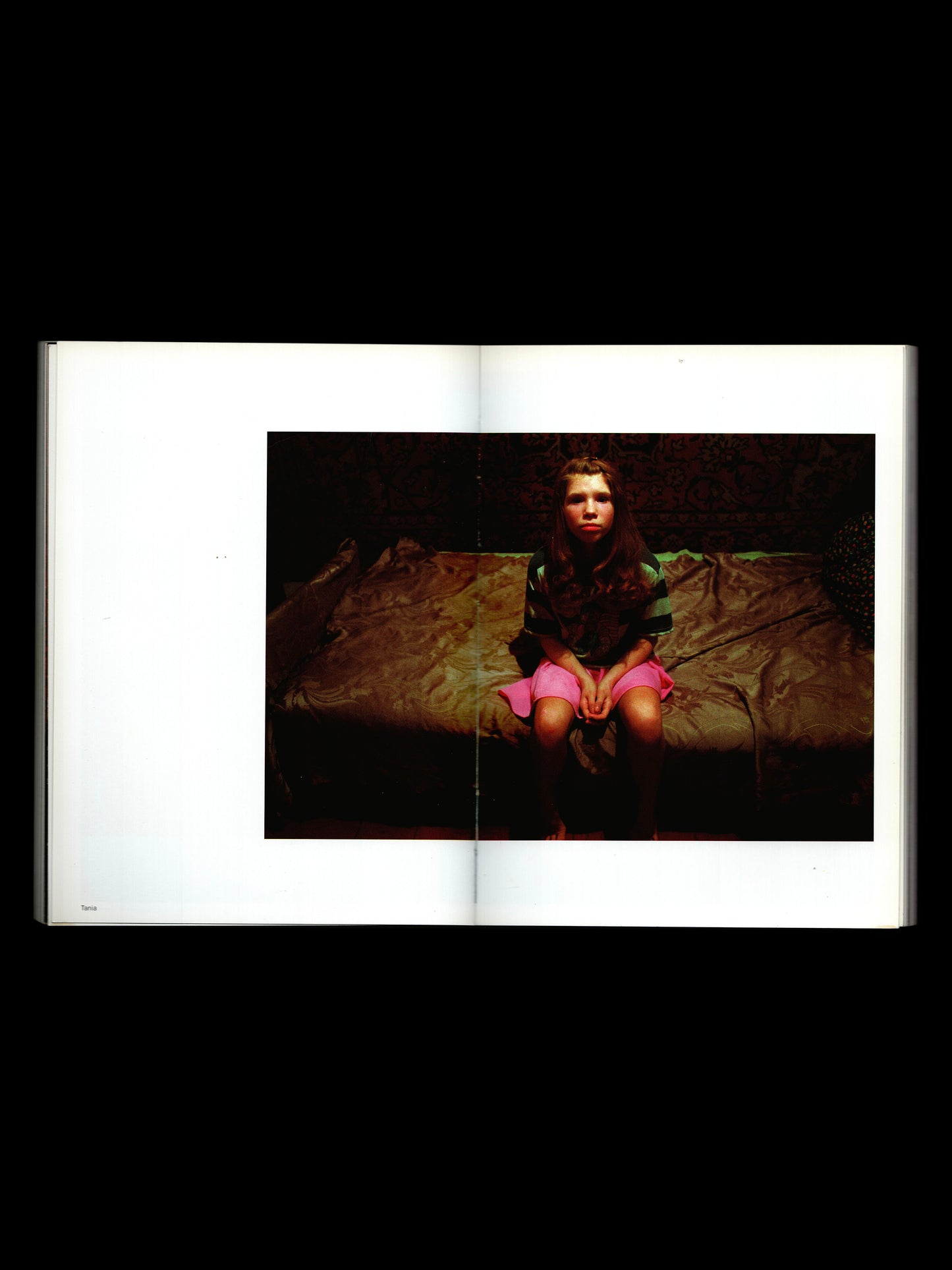 WINTERREISE (2003)