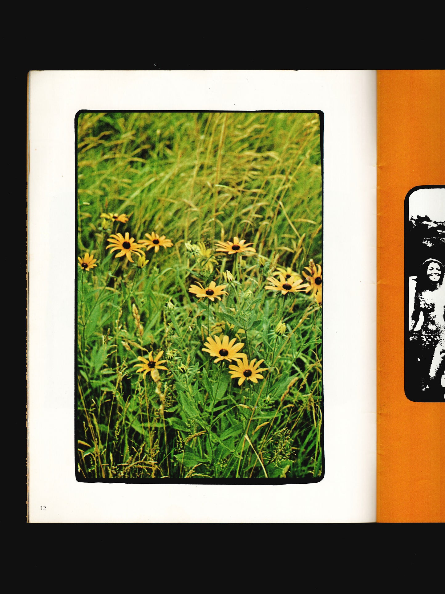 WOODSTOCK THE MOVIE (1969)