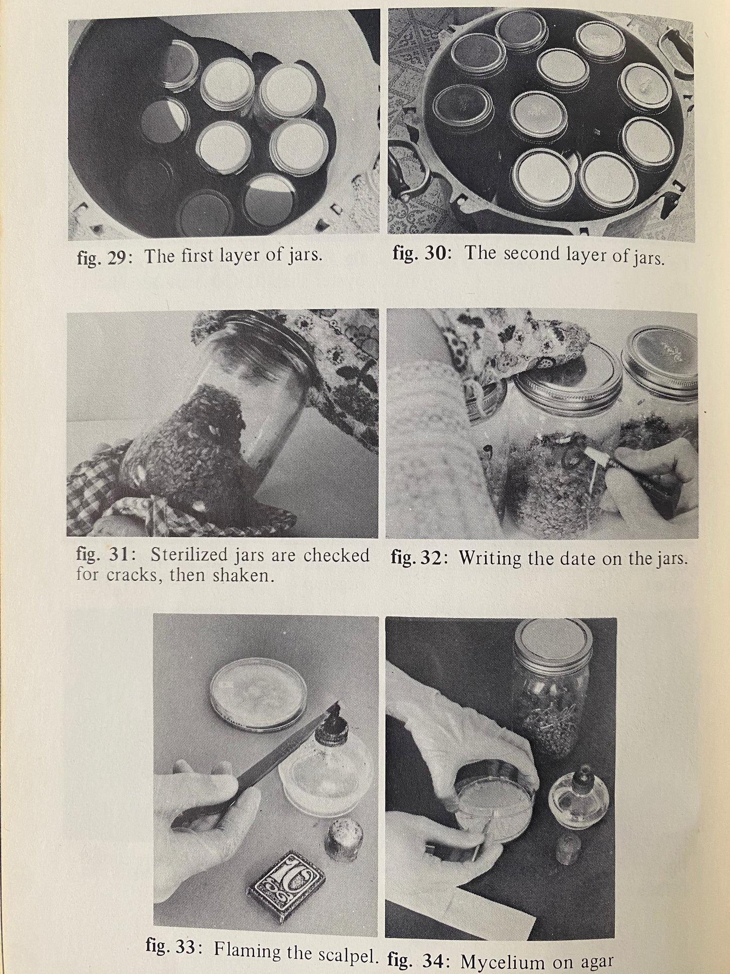 Psilocybin: Magic Mushroom Grower's Guide (1976)