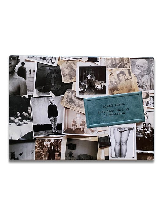 Diane Arbus - A Collage Wall In 17 Postcards (2005)