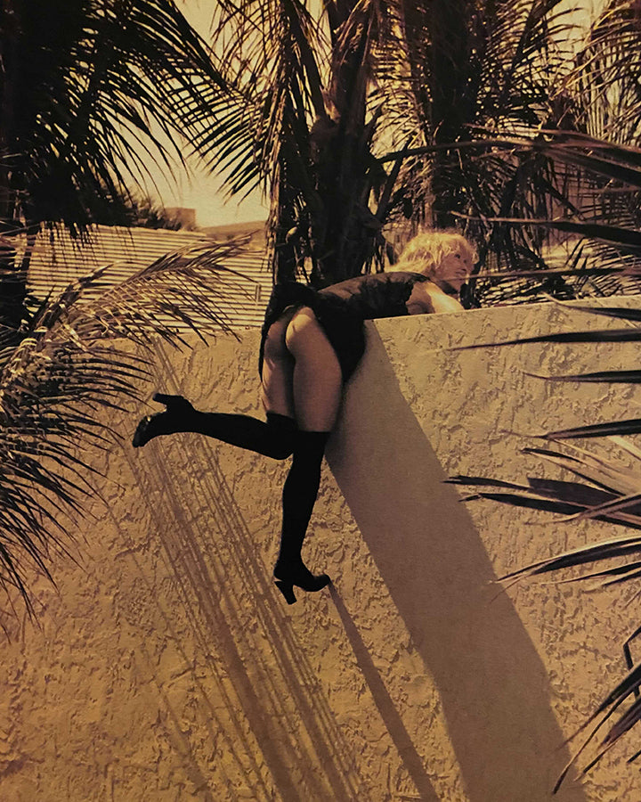 Steven Meisel, Madonna - Sex (1992)