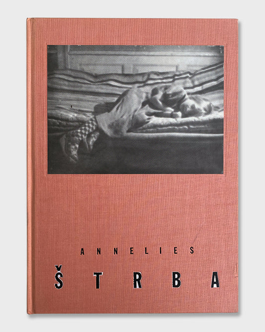 Annelies Štrba - Aschewiese (1990)