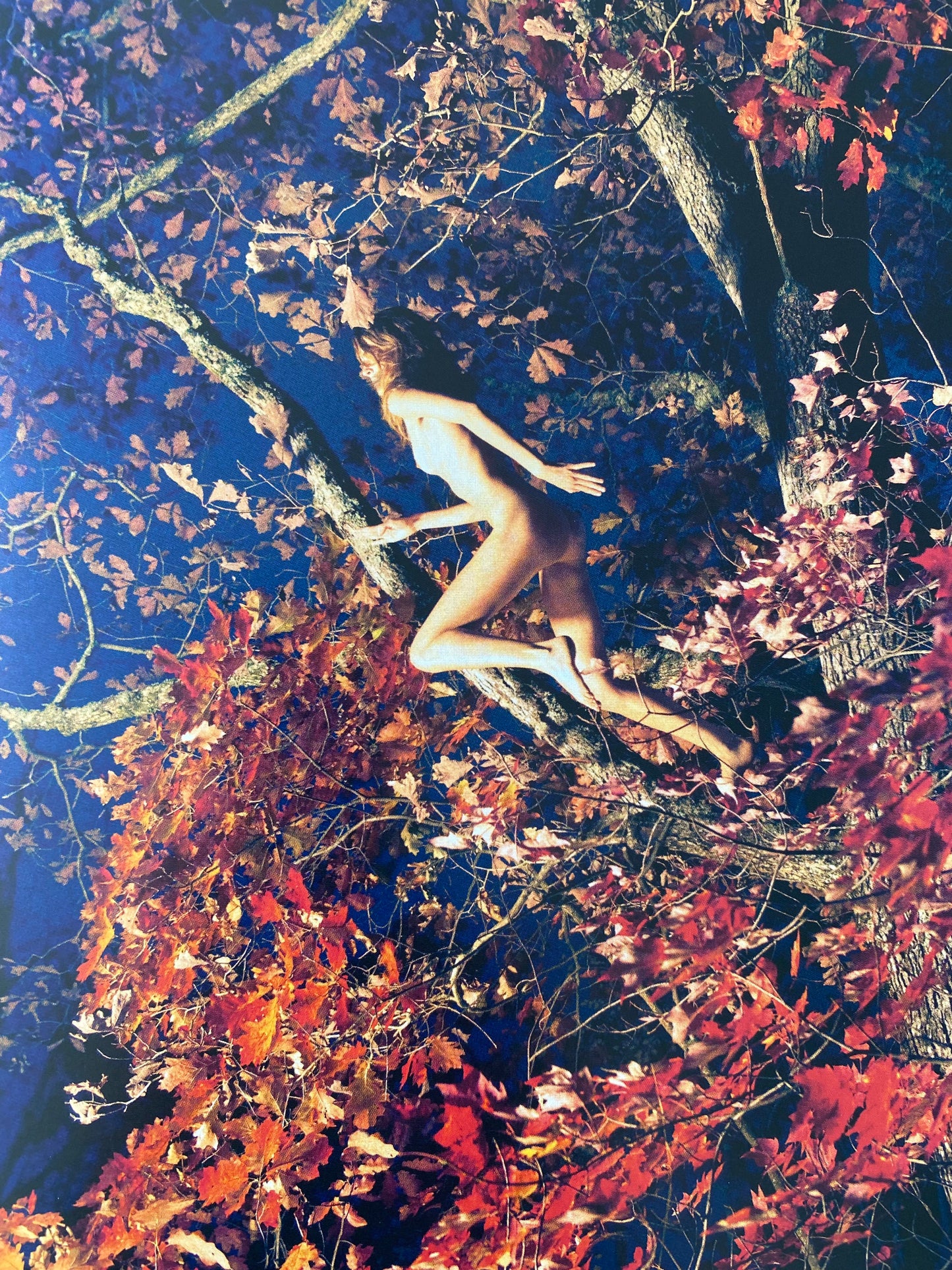 Ryan McGinley - Whistle For The Wind (2012)